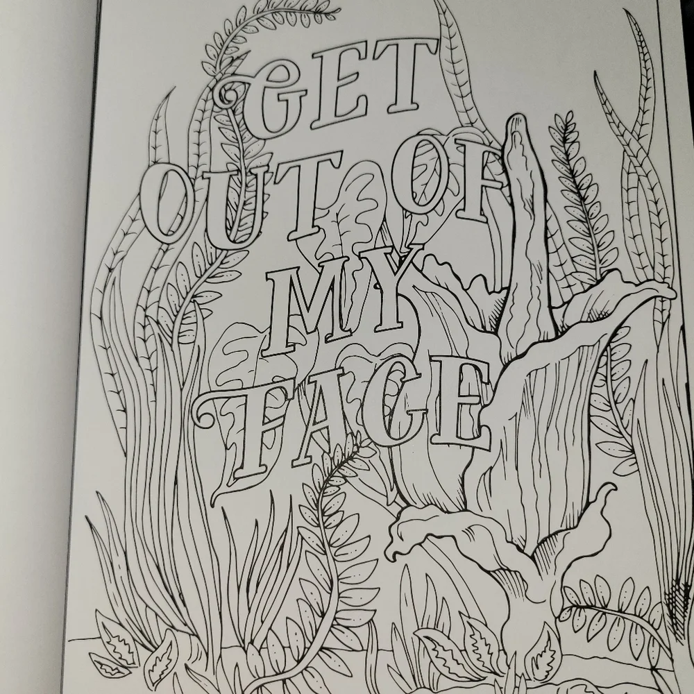 Colorful Swear Word Coloring Book